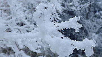 p1273987_thumb.jpg