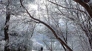 p1273990_thumb.jpg