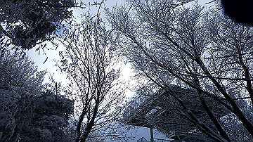 p1273992_thumb.jpg