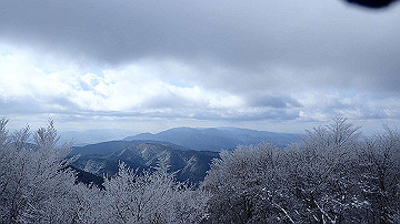 p1273996_thumb.jpg