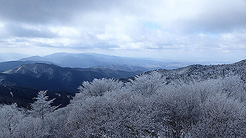 p1274003_thumb.jpg
