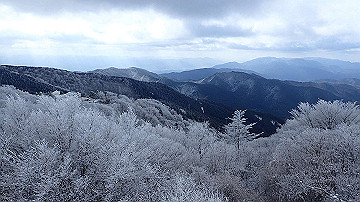 p1274004_thumb.jpg