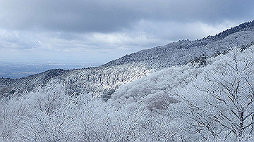 p1274005_thumb.jpg
