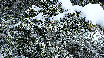 p1274026_thumb.jpg