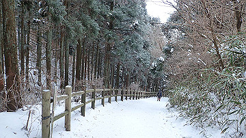 p1274031_thumb.jpg