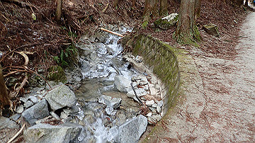 p1274035_thumb.jpg