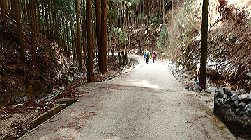 p1274036_thumb.jpg
