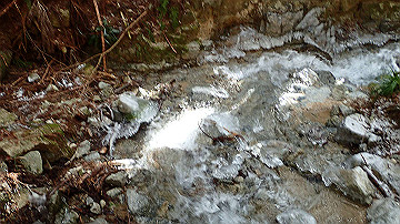 p1274037_thumb.jpg