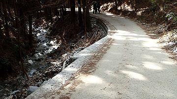 p1274038_thumb.jpg