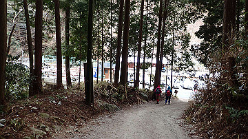 p1274040_thumb.jpg
