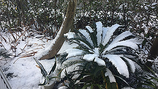 img_9865_thumb.jpg
