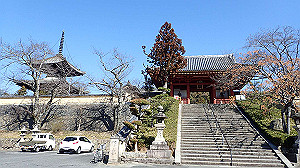 p2273822_thumb.jpg