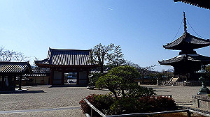 p2273839_thumb.jpg