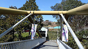 p2273850_thumb.jpg