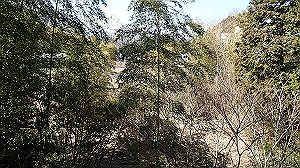p2273851_thumb.jpg