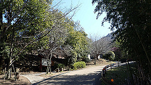 p2273853_thumb.jpg