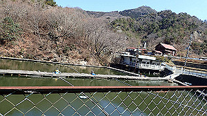 p2273859_thumb.jpg