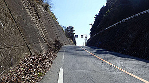 p2273867_thumb.jpg