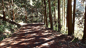 p2273870_thumb.jpg