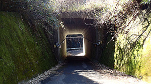 p2273876_thumb.jpg