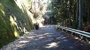 p2273879_thumb.jpg