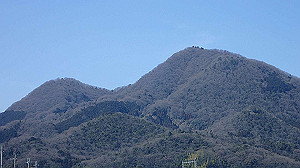 p2273885_thumb.jpg