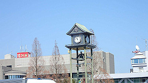 p2273893_thumb.jpg