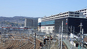 p2273897_thumb.jpg