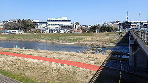 p2273899_thumb.jpg
