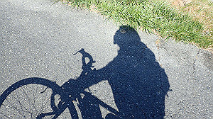 p2273903_thumb.jpg