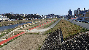 p2273906_thumb.jpg