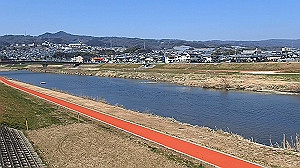 p2273907_x264.mp4_thumb.jpg