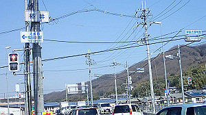 p2273910_thumb.jpg