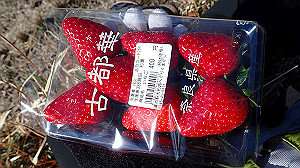 p2273922_thumb.jpg
