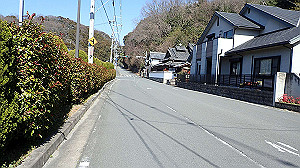 p2273925_thumb.jpg