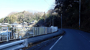 p2273926_thumb.jpg