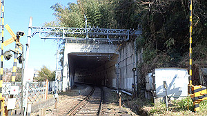 p2273930_thumb.jpg