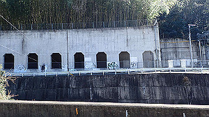 p2273933_thumb.jpg