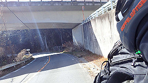 p2273935_thumb.jpg