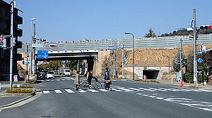 p2273947_thumb.jpg