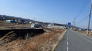 p2273950_thumb.jpg