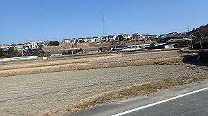 p2273951_thumb.jpg