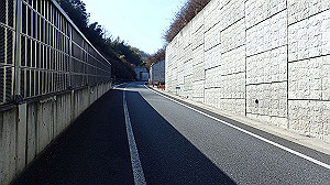 p2273963_thumb.jpg