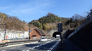 p2273969_thumb.jpg