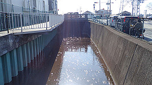 p2273978_thumb.jpg