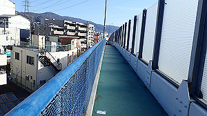 p2273983_thumb.jpg