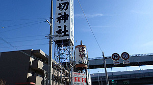 p2273988_thumb.jpg