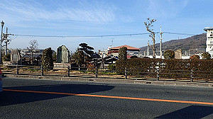 p2274000_thumb.jpg