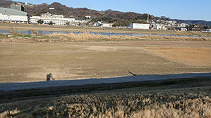 p2274007_thumb.jpg