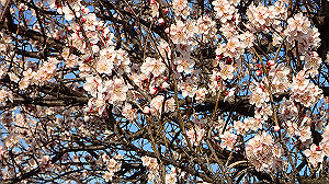 p2274013_thumb.jpg